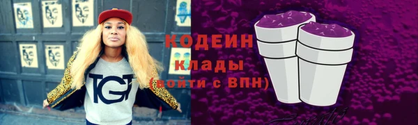 ПСИЛОЦИБИНОВЫЕ ГРИБЫ Верея
