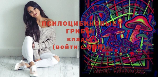 ПСИЛОЦИБИНОВЫЕ ГРИБЫ Верея