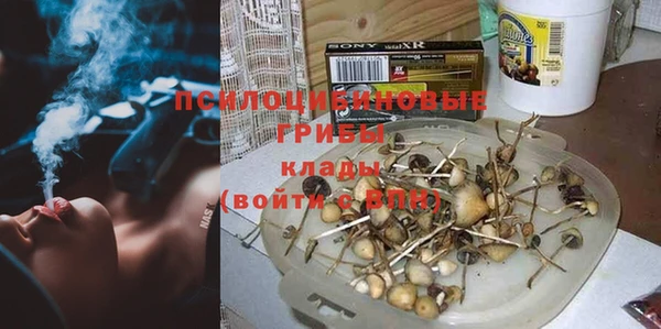 стаф Верхний Тагил