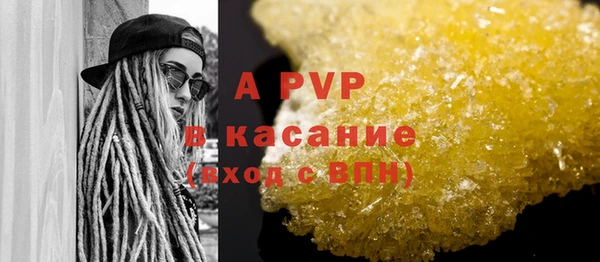 ПСИЛОЦИБИНОВЫЕ ГРИБЫ Верея