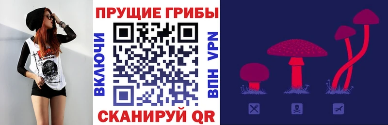 наркошоп  Волоколамск  Галлюциногенные грибы GOLDEN TEACHER 