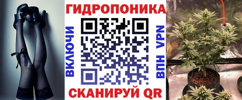 где найти   Волоколамск  Каннабис планчик 